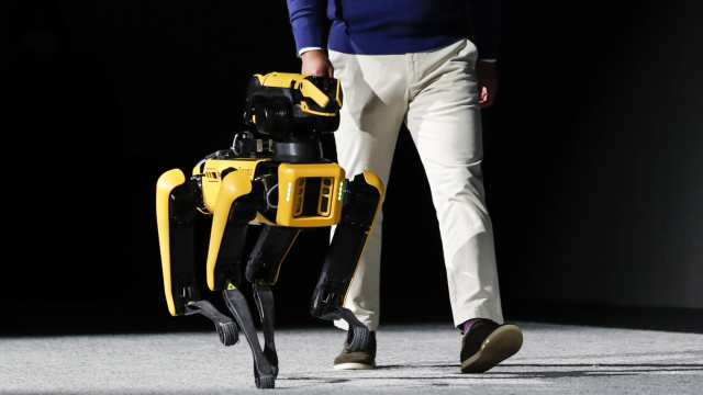 NASA is teaching a robot dog how to walk on the moon