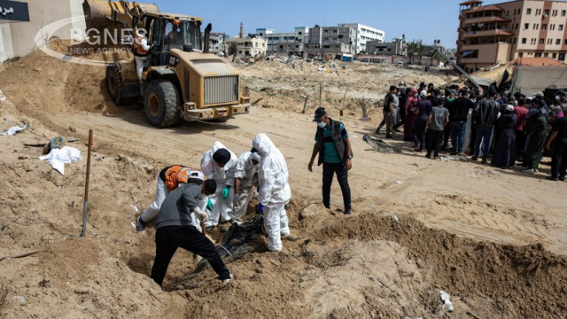 Nearly 300 bodies were found at Nasser Hospital after the withdrawal of Israeli forces