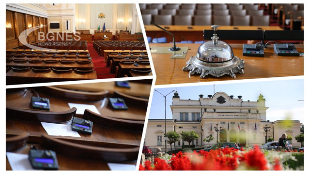 49th National Assembly of Bulgaria: The Consensus in the Constitution and the Failure in the Rotation